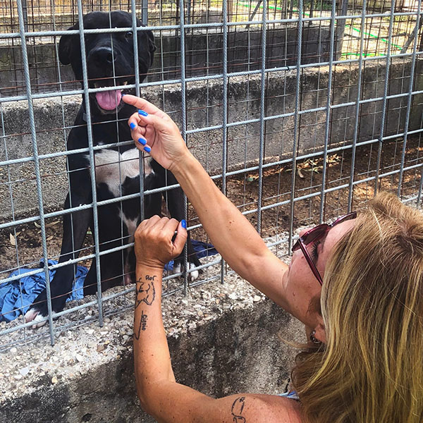 ac3444a2 f07d 4ccb 9766 f41040995561