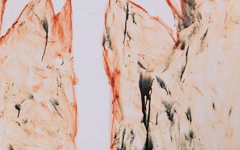 La Fondazione BISCOZZI | RIMBAUD