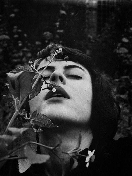 Nerina Toci: Un seme di collina