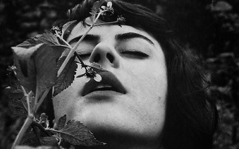 Nerina Toci: Un seme di collina