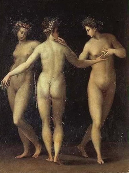 Les fleurs et les raisins