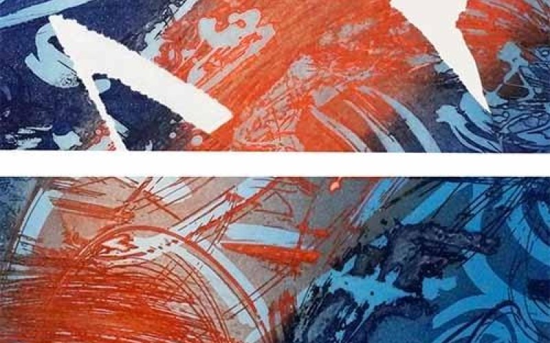 Le percezioni colorate di Anna Romanello