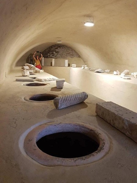 Le Olearie di Urbano VIII