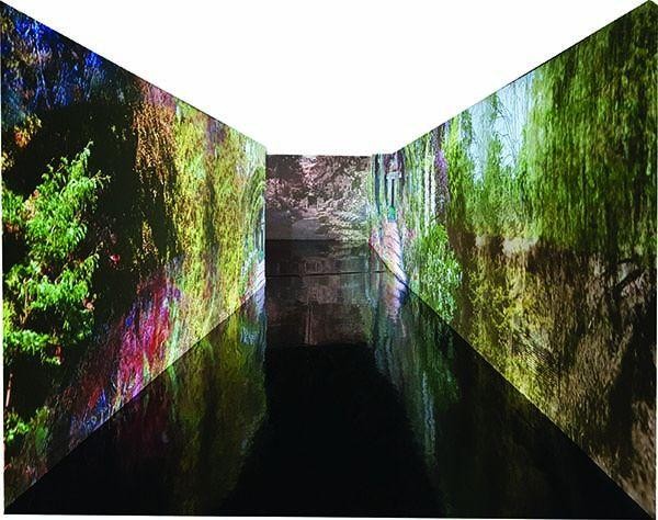 Monet “Il mio giardino è l’opera più bella che io abbia mai creato”