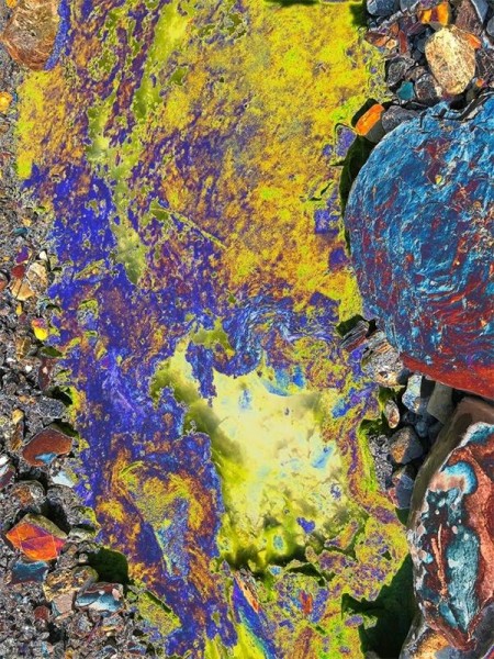 MOSTRA VIRTUALE - Federica Marin