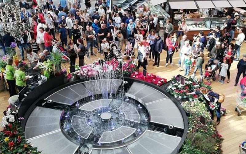 Water Flower