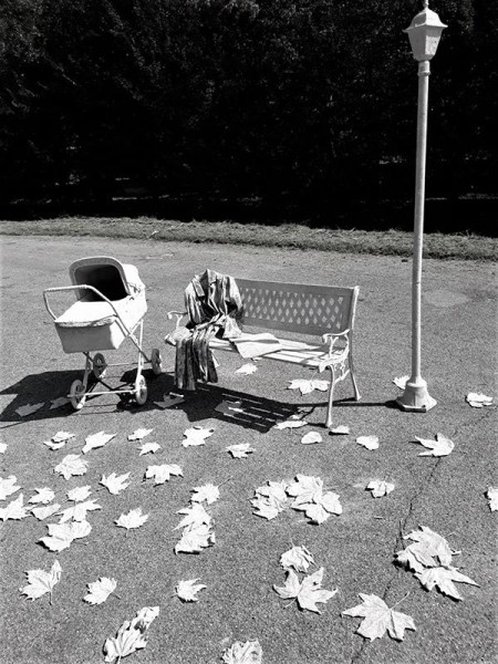 Nel segno della Musa - “Ritratti d’artista” - Protagonisti del XXI secolo