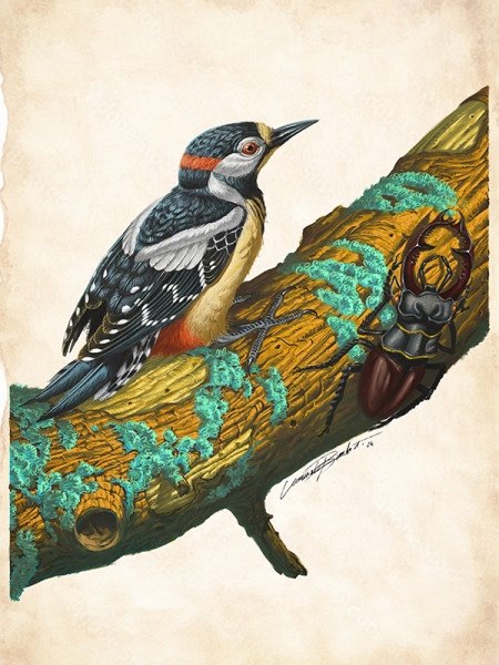 Leonardo Bimbati. Un giovane talento.