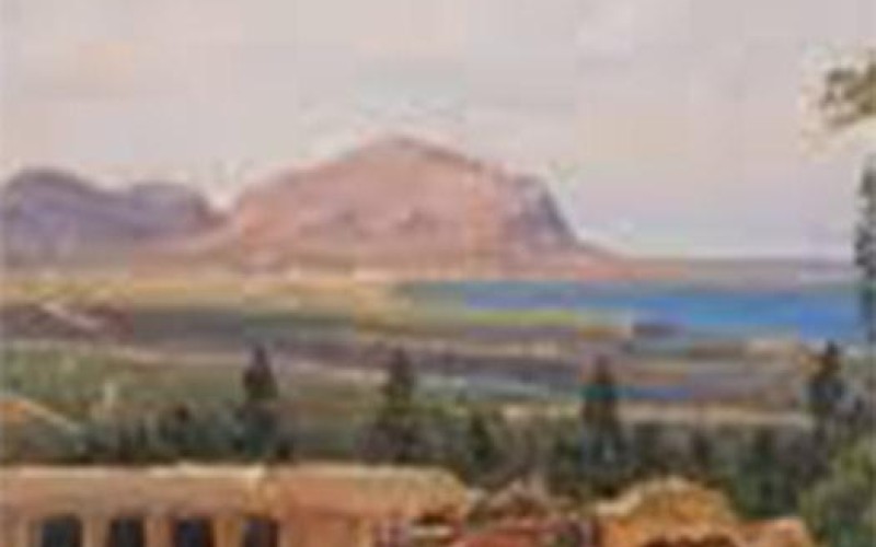 LES FLEURS ET LES RAISINS 1.1