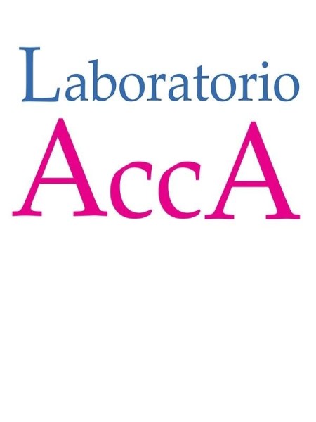 LABORATORIO ACCA: MAI FERMI.