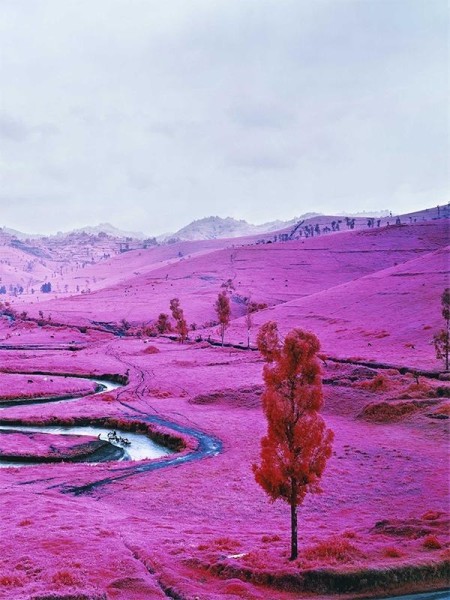 La Fondazione MAST presenta “DISPLACED”